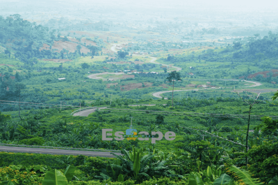 Phnom 1500