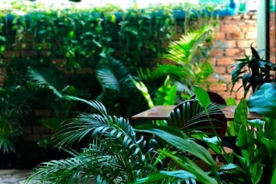 Green garden homestay