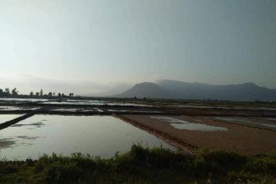 Fish island Kampot RiverHome