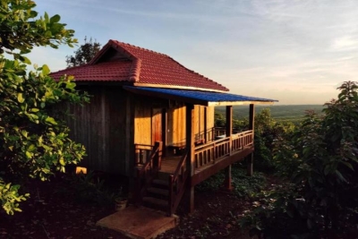 Tree Trails Travel Lodge