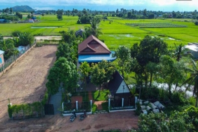 The Green Home 