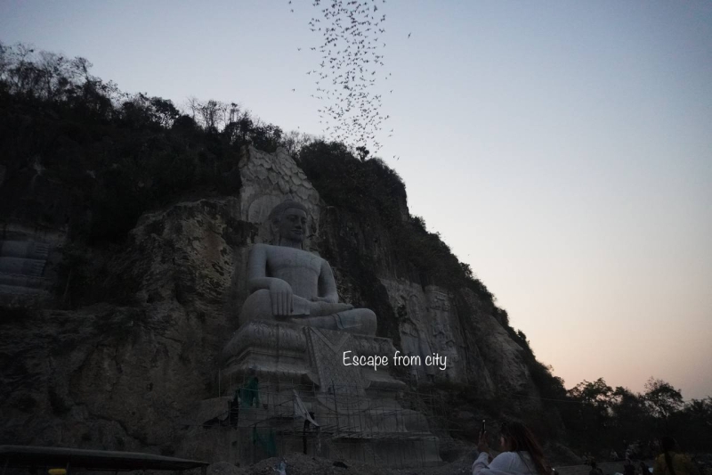 The Natural Wonder of the Phnom Sampov Bat Cave