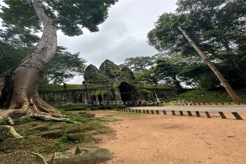 Explore the Magic of Siem Reap in the Green Season.