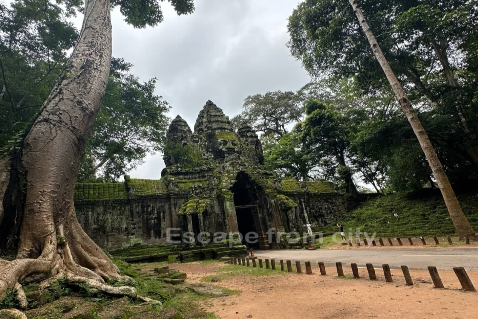 Explore the Magic of Siem Reap in the Green Season.