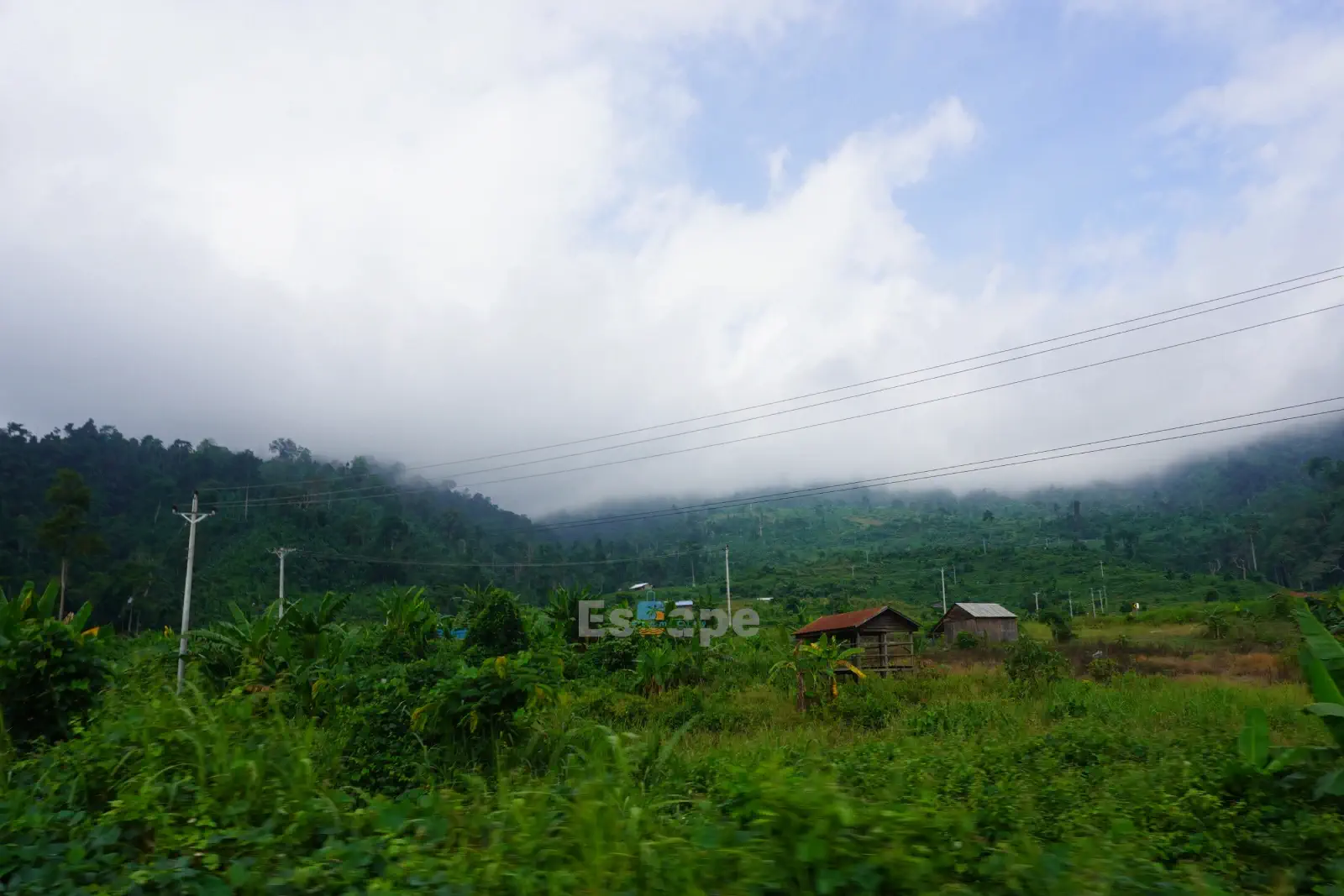 Why Phnom 1500 Is Trending Right Now 2026