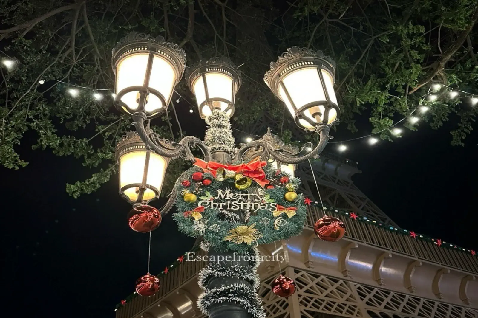 Chrismast Events at Euro park